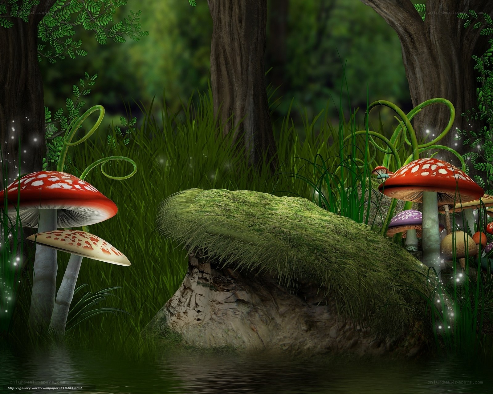 Fairy forest with mushrooms
