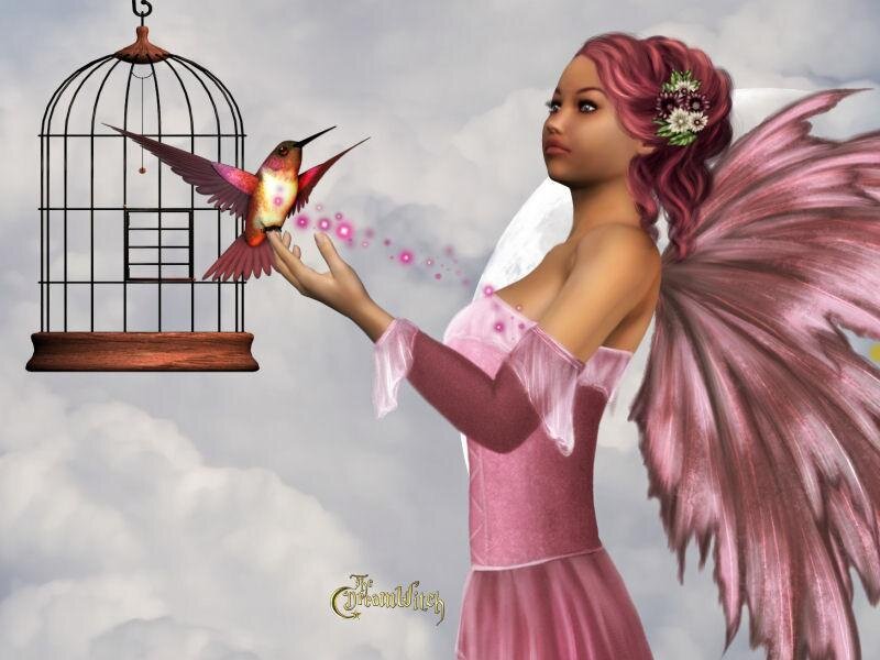 fairy freeing a hummingbird