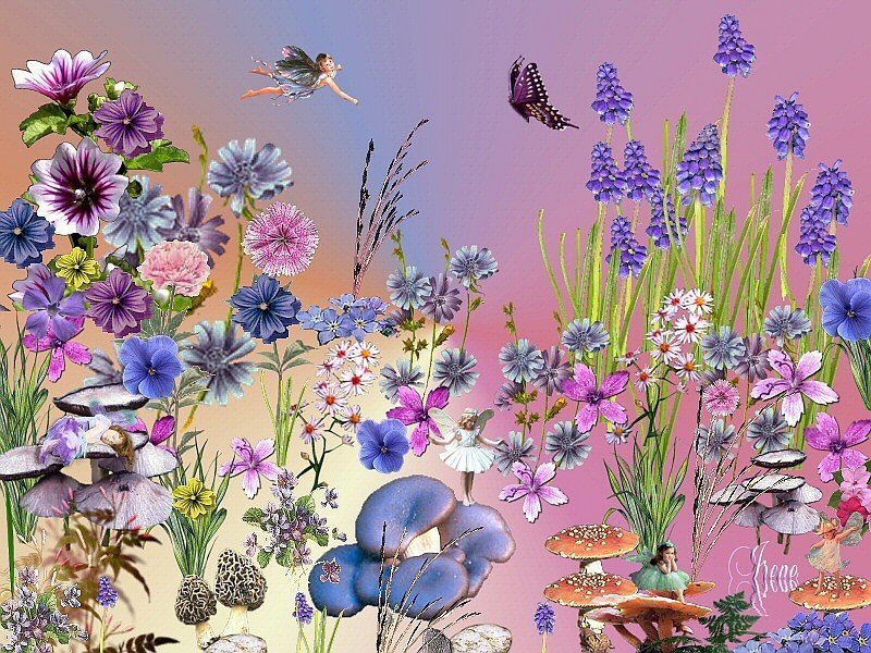 Fairy Garden Collage