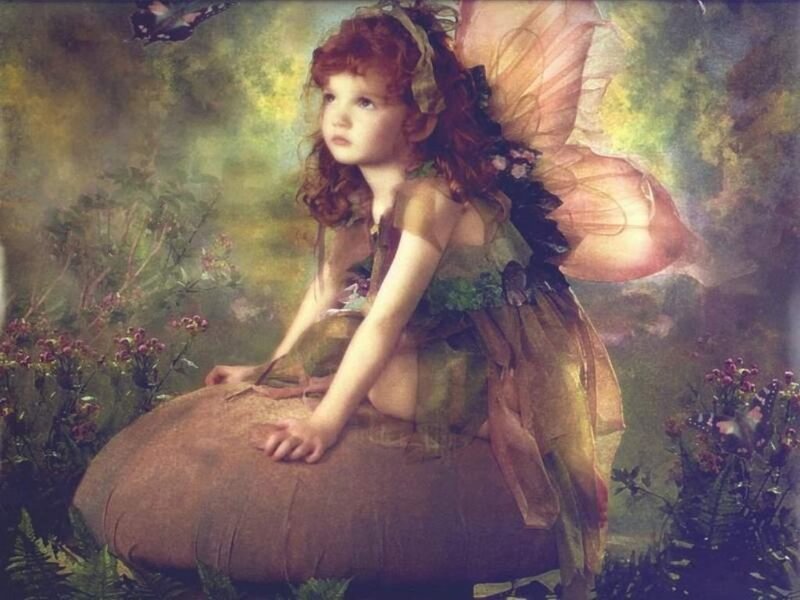 fairy girl on a mushroom