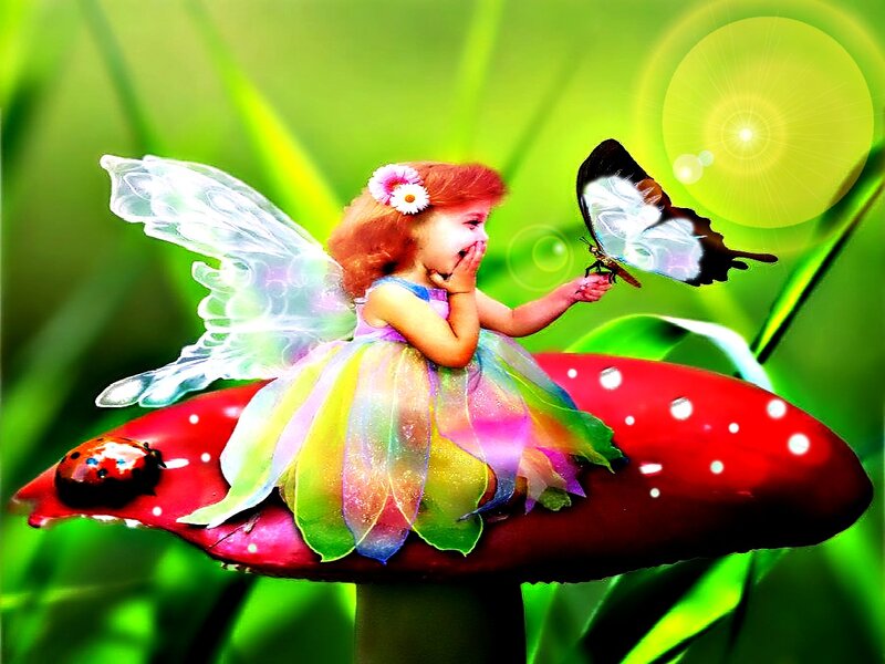 Fairy Girl on Mushroom