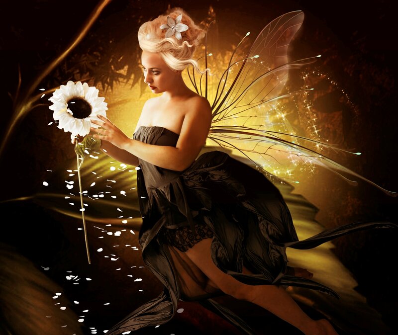 Fairy Holding Flower — Black