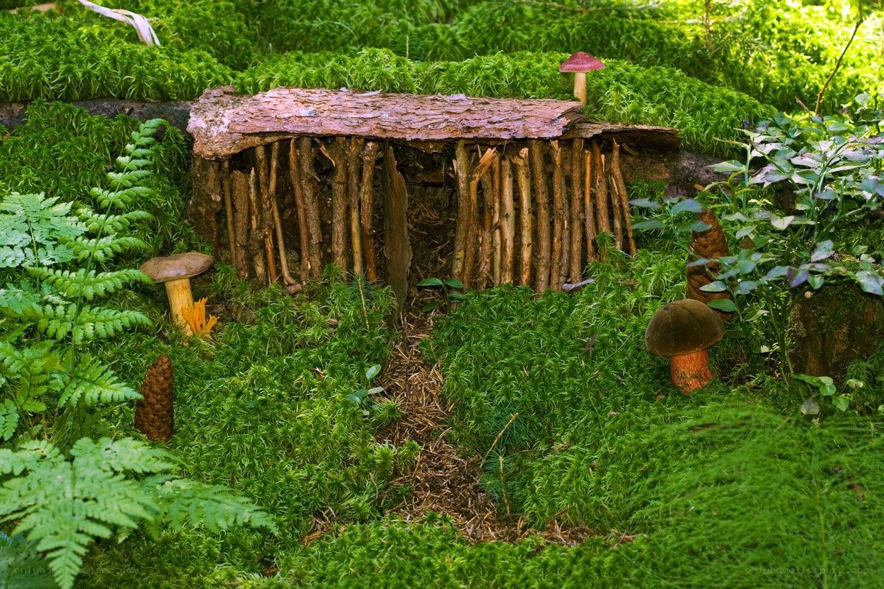Fairy house in mossy forest