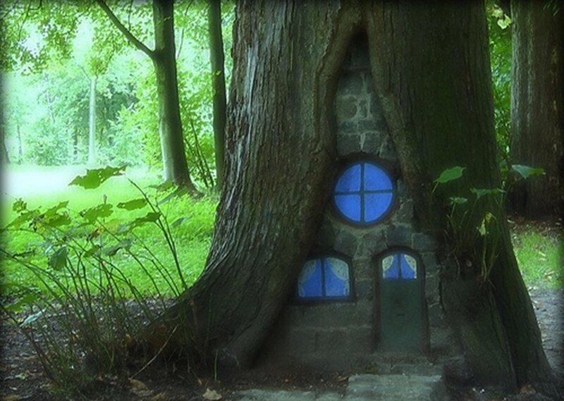 Fairy House in Tree