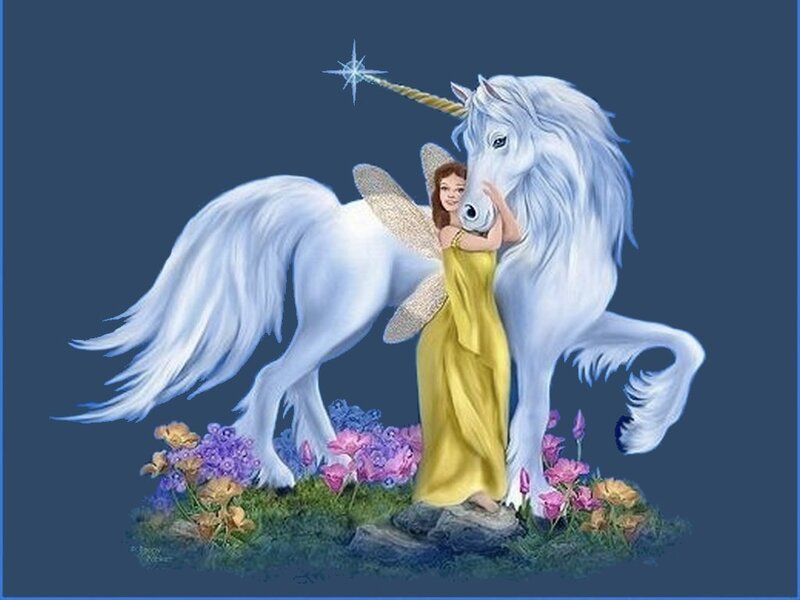 fairy hugging a unicorn