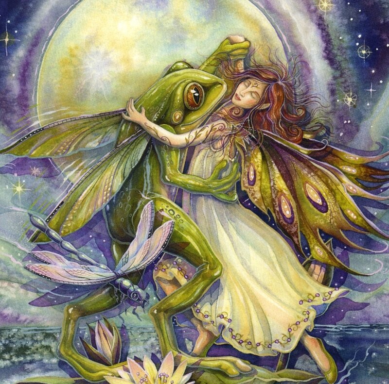 Fairy Hugging Frog