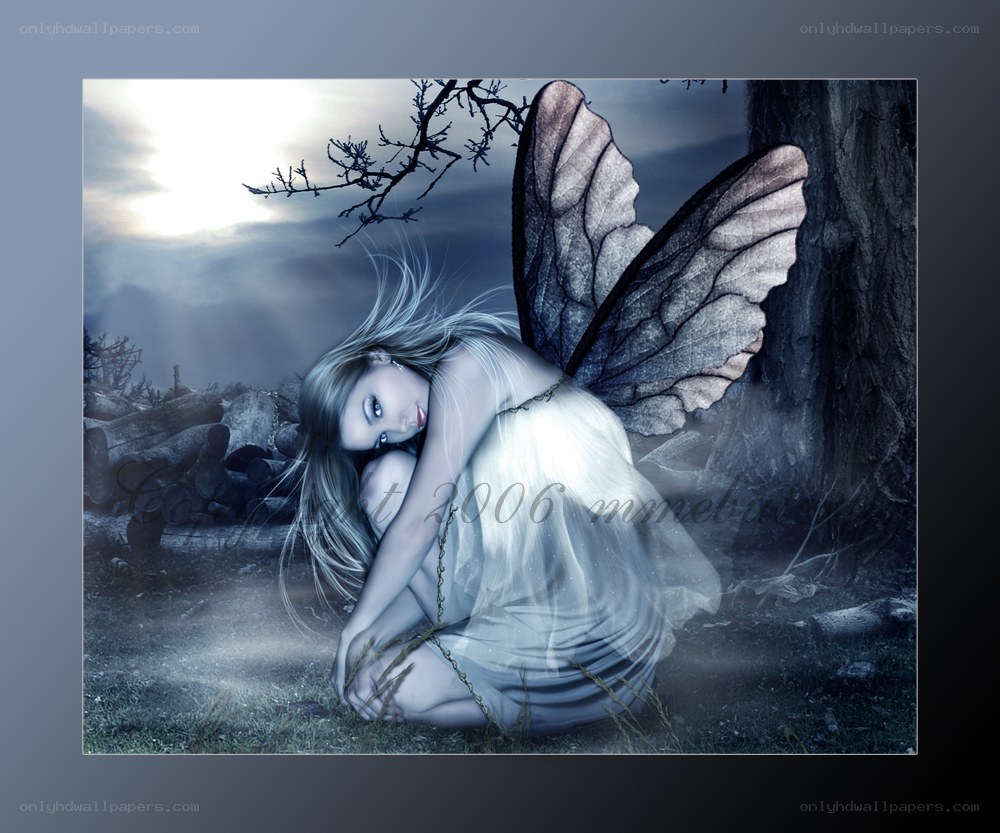Fairy in a dark forest