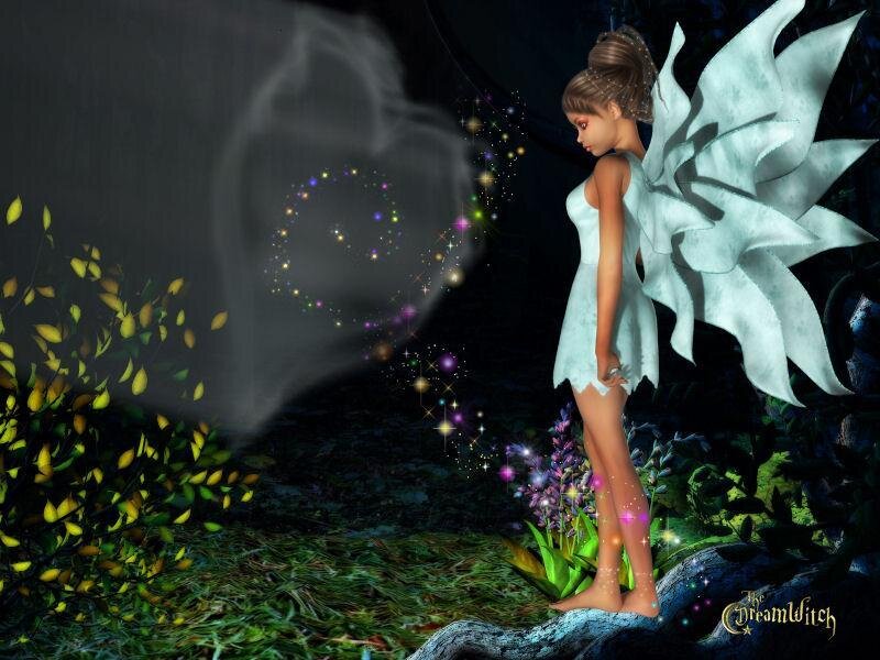 fairy in a dreamy forest