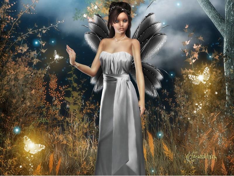 Fairy in a Field