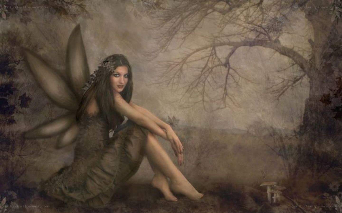 fairy in a forest