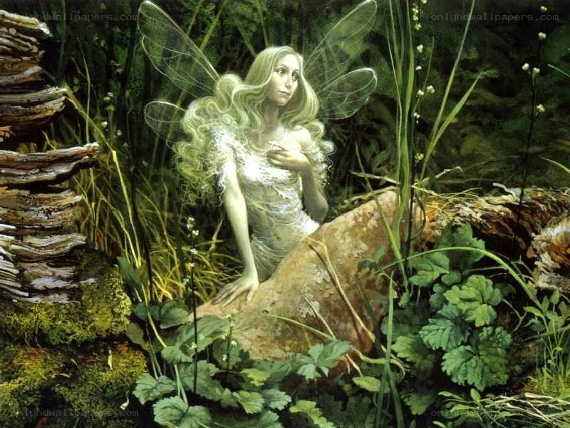 fairy in a forest