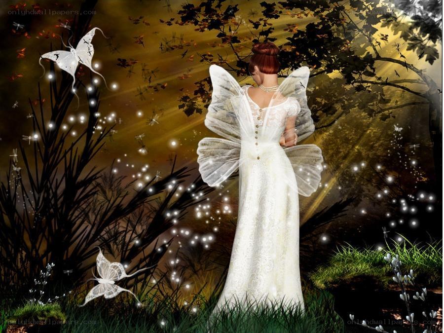 fairy in a forest