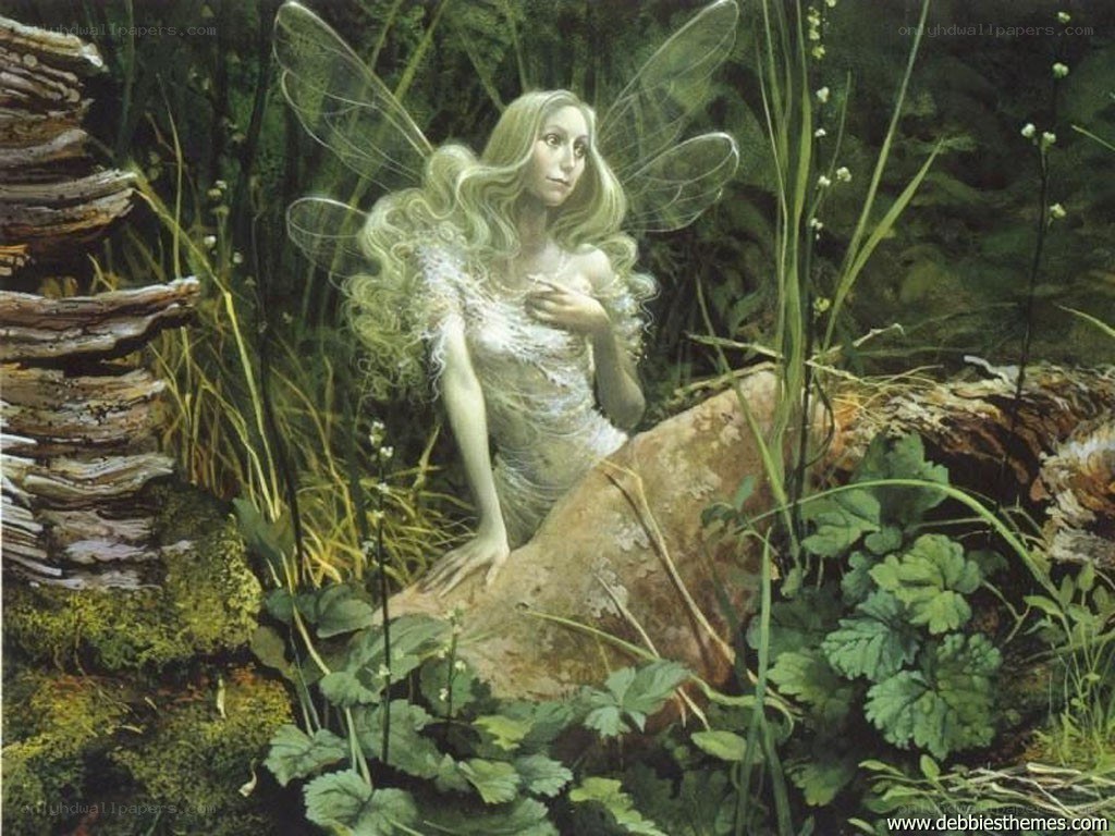 Fairy in a forest