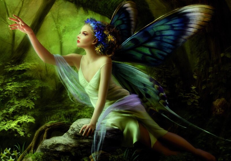 fairy in a forest