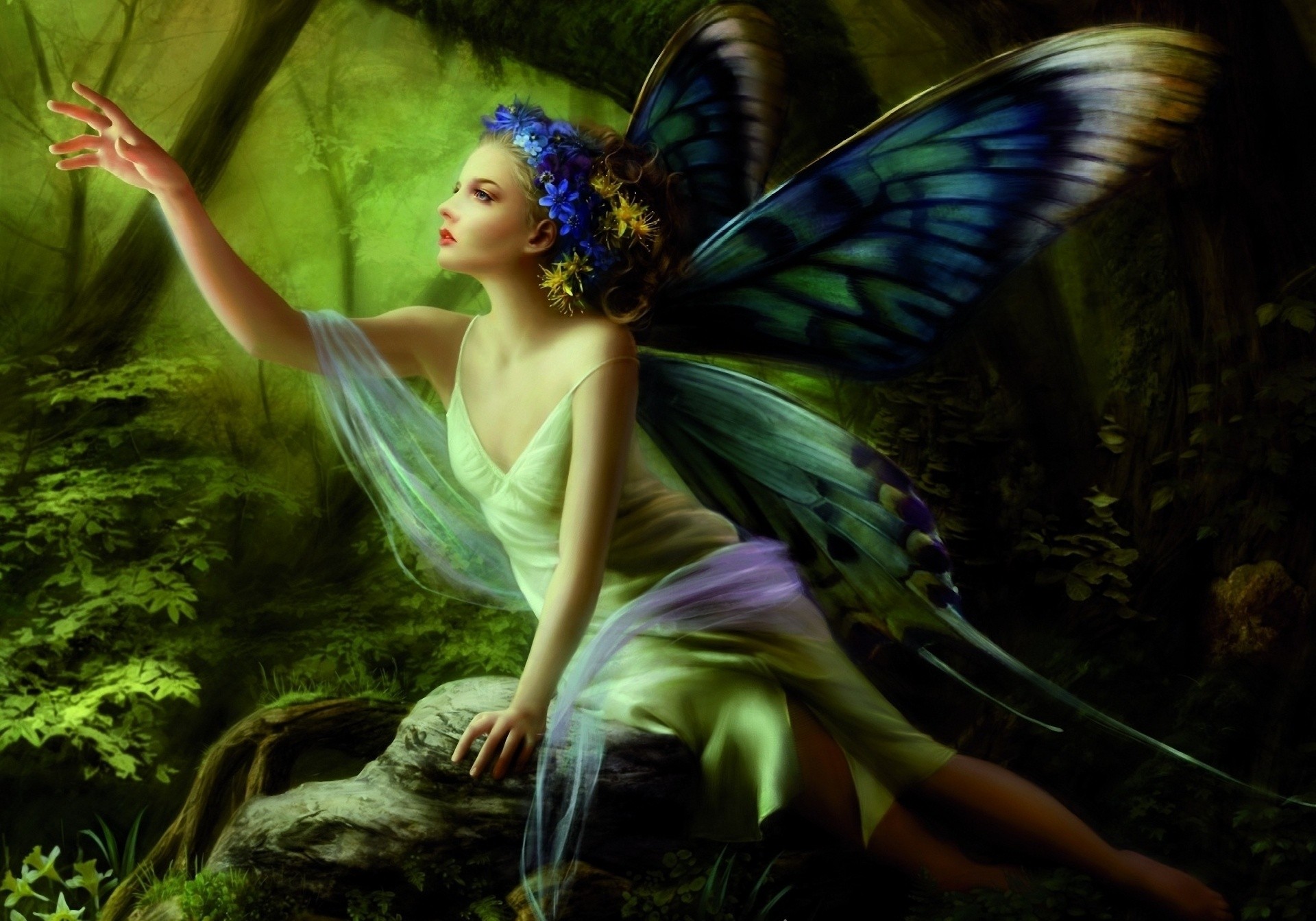 fairy in a forest