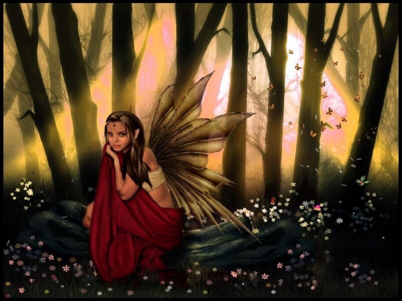 Fairy in a forest