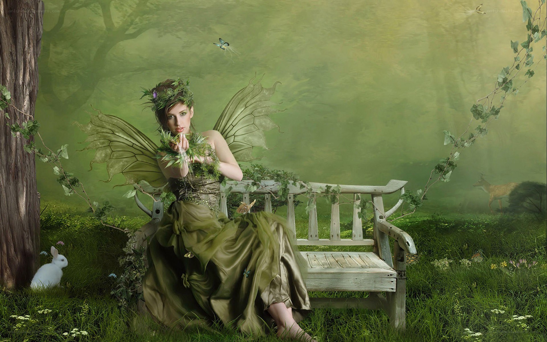 fairy in a forest