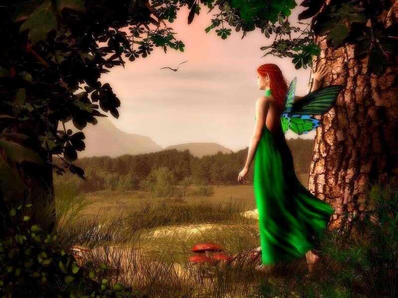 Fairy in a forest clearing