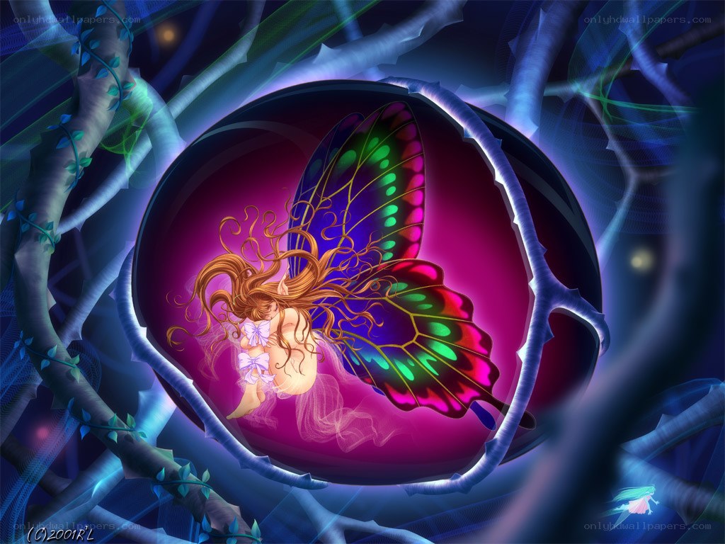 fairy in a glowing orb