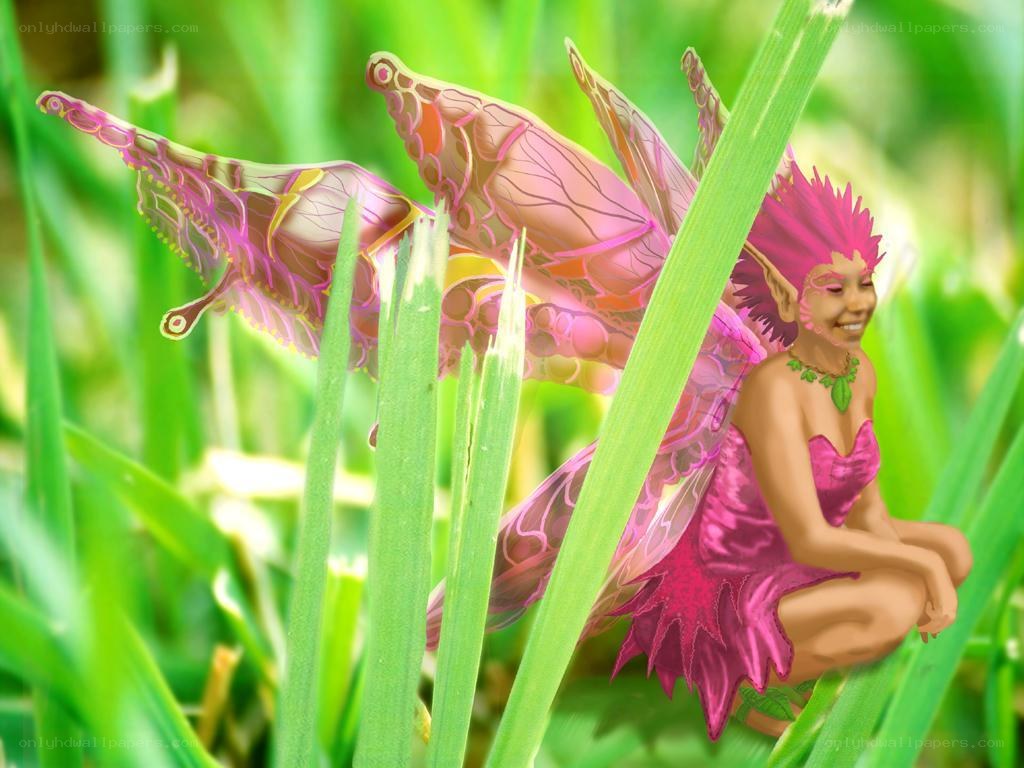 fairy in a grassy field