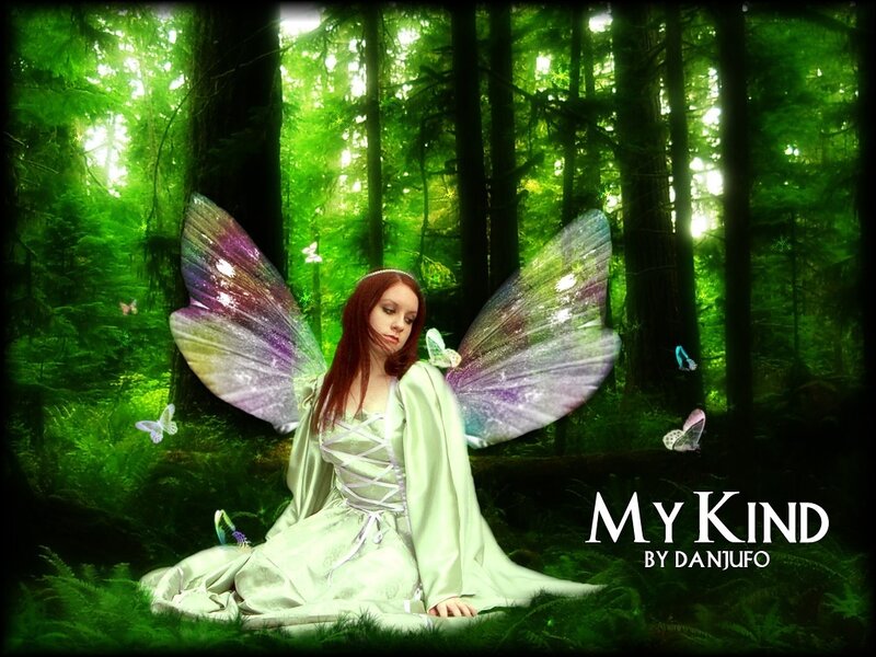 fairy in a green forest