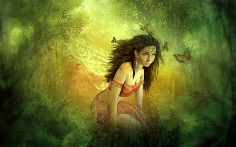 fairy in a green forest