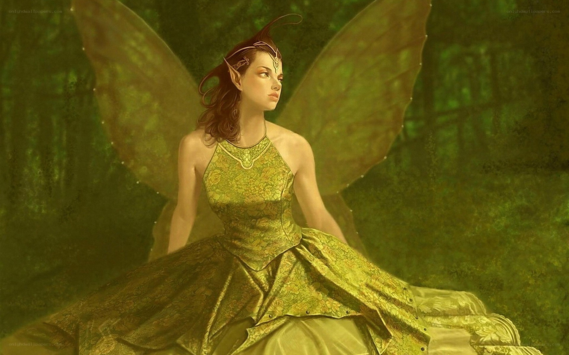 fairy in a green forest