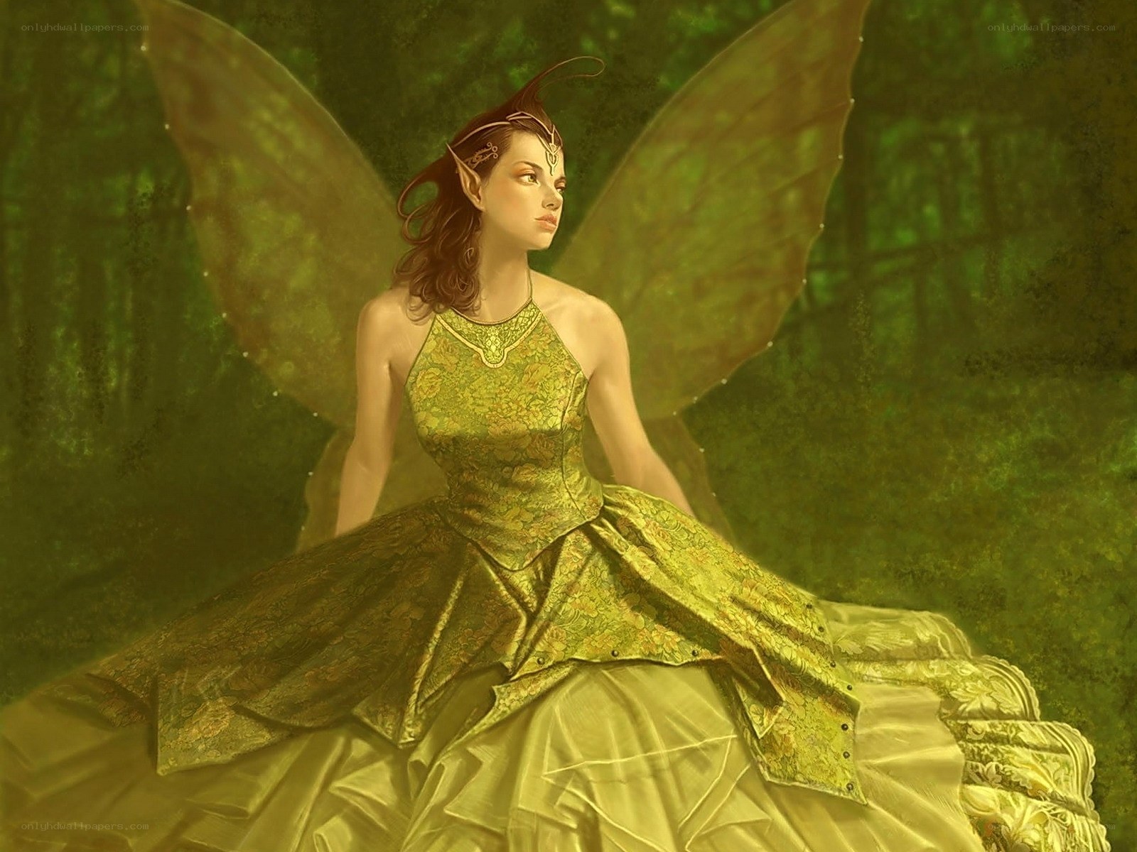 fairy in a green forest