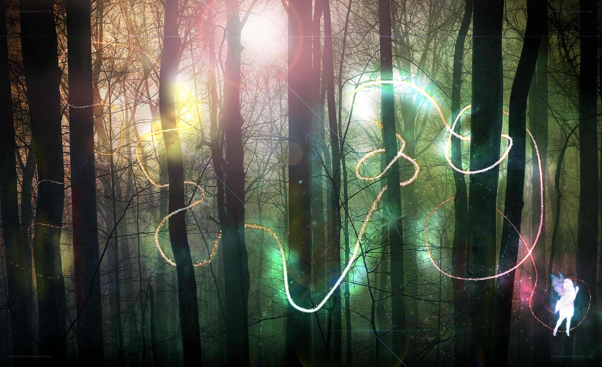 Fairy in a magical forest