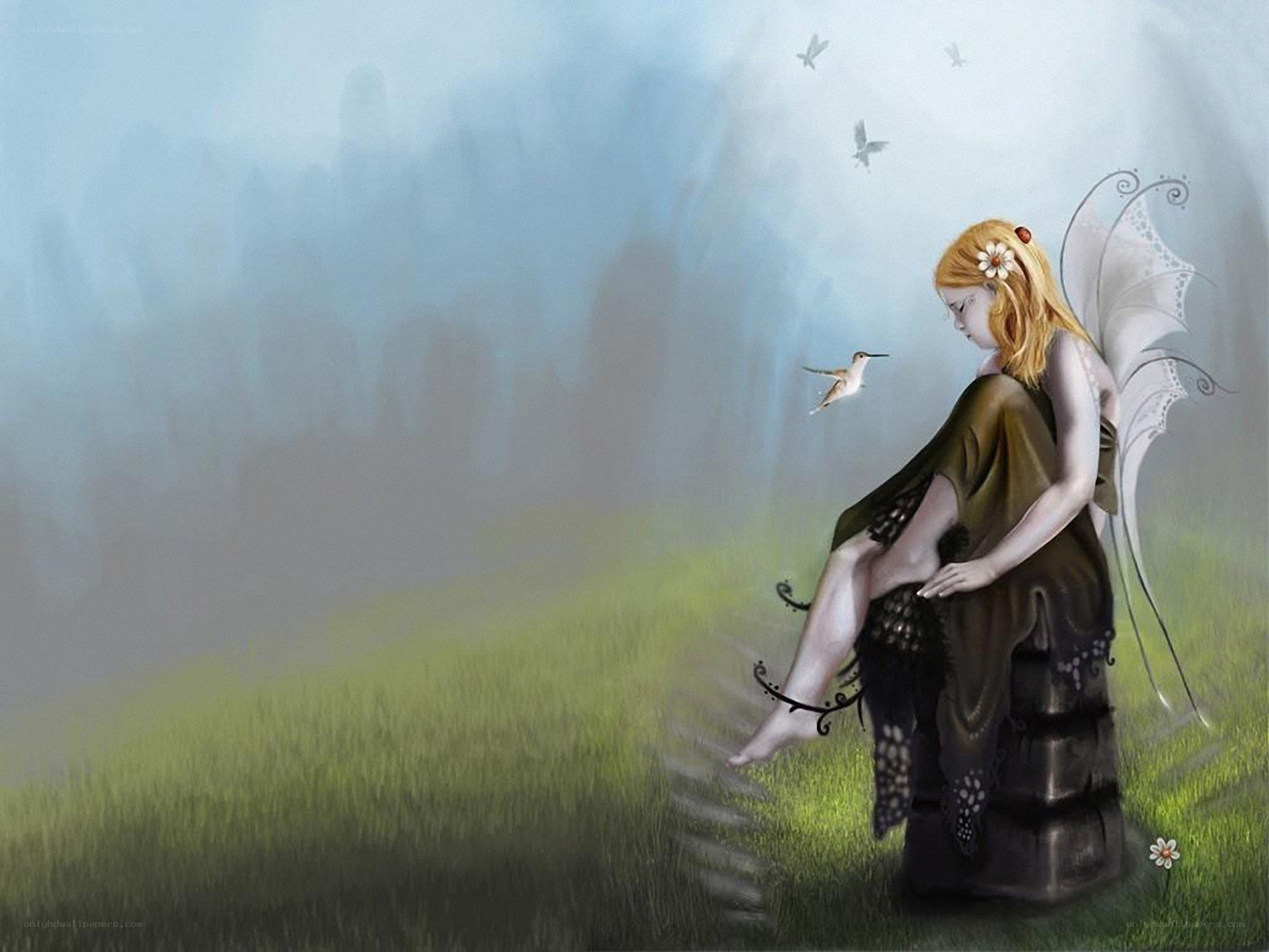 Fairy in a misty field