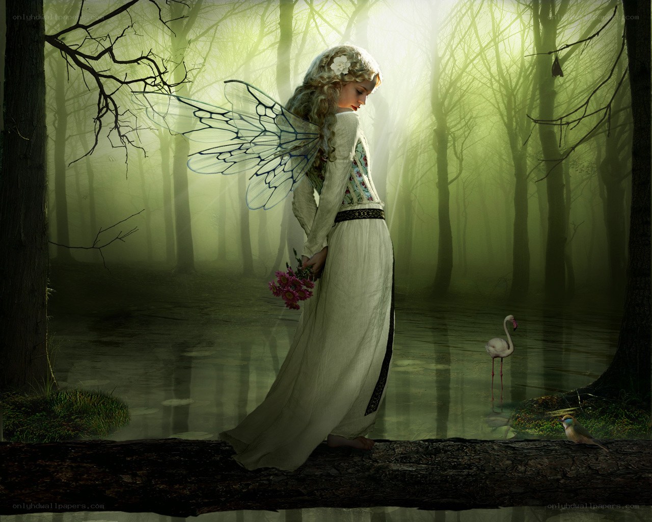 Fairy in a misty forest