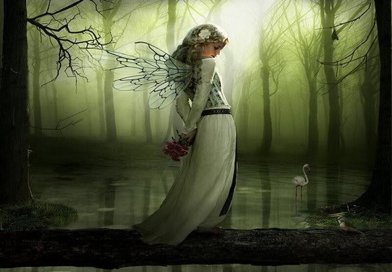 Fairy in a misty forest
