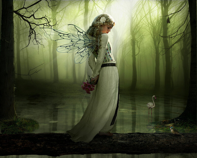 fairy in a misty forest