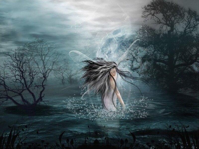 fairy in a misty forest