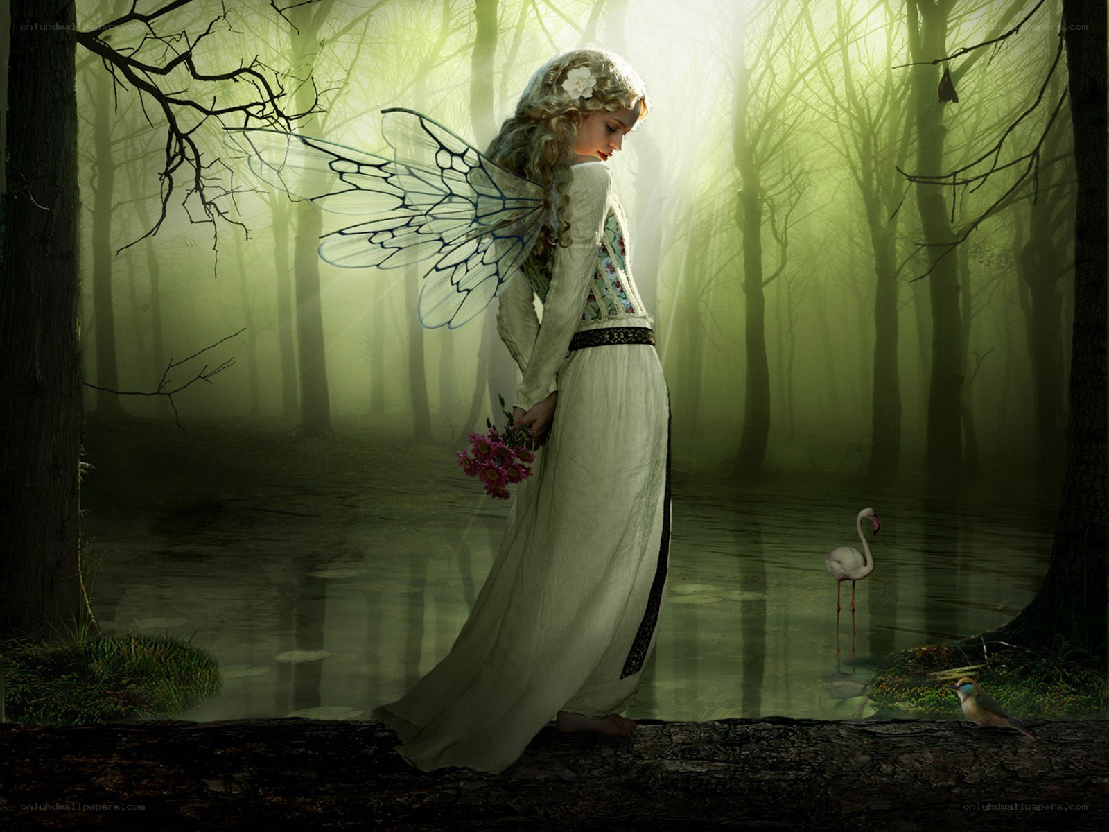 Fairy in a misty forest