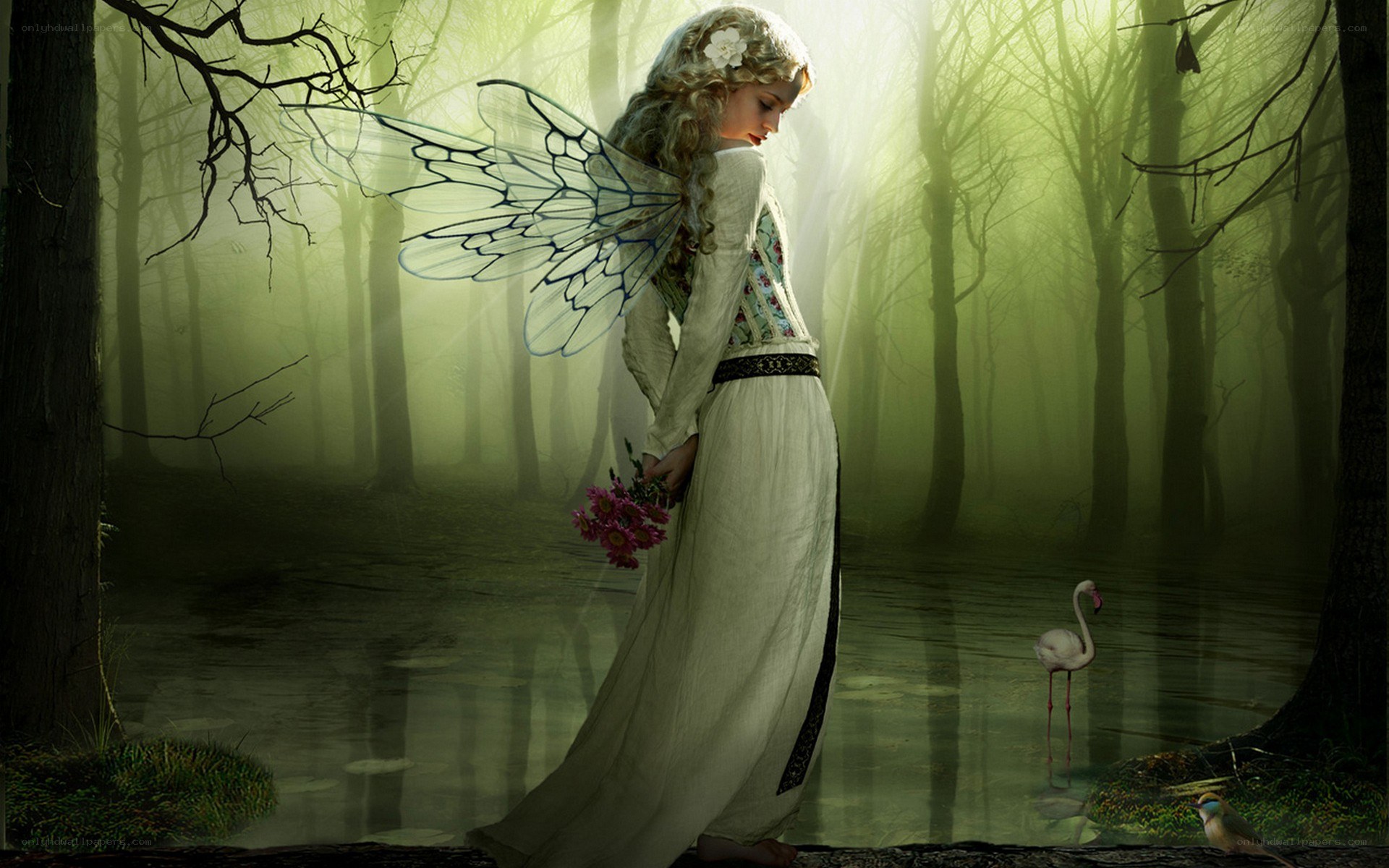 fairy in a misty forest