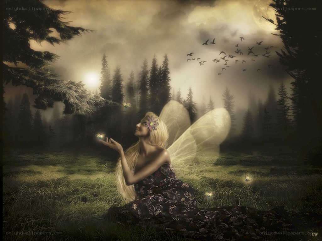 fairy in a misty forest