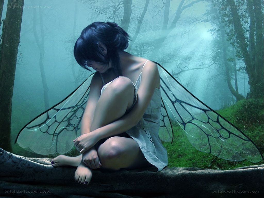 fairy in a misty forest