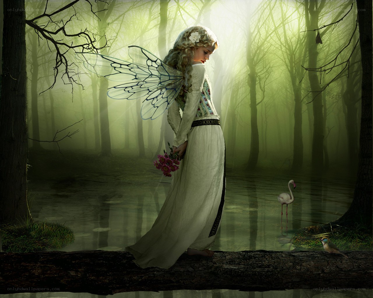 Fairy in a misty forest