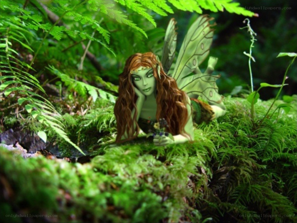 fairy in a mossy forest