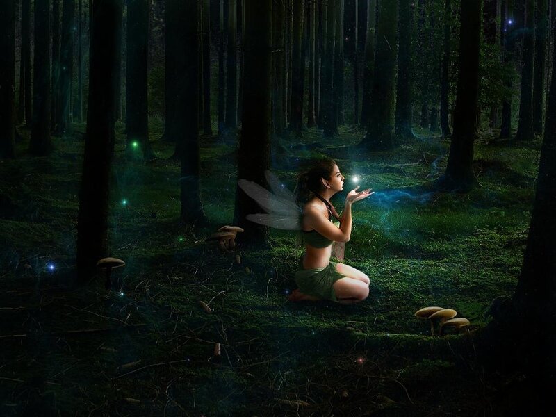 Fairy in a mystical forest