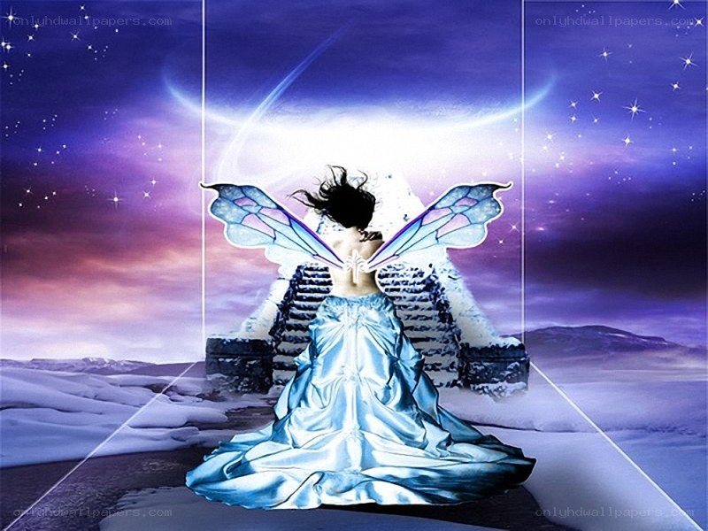 fairy in a snowy landscape