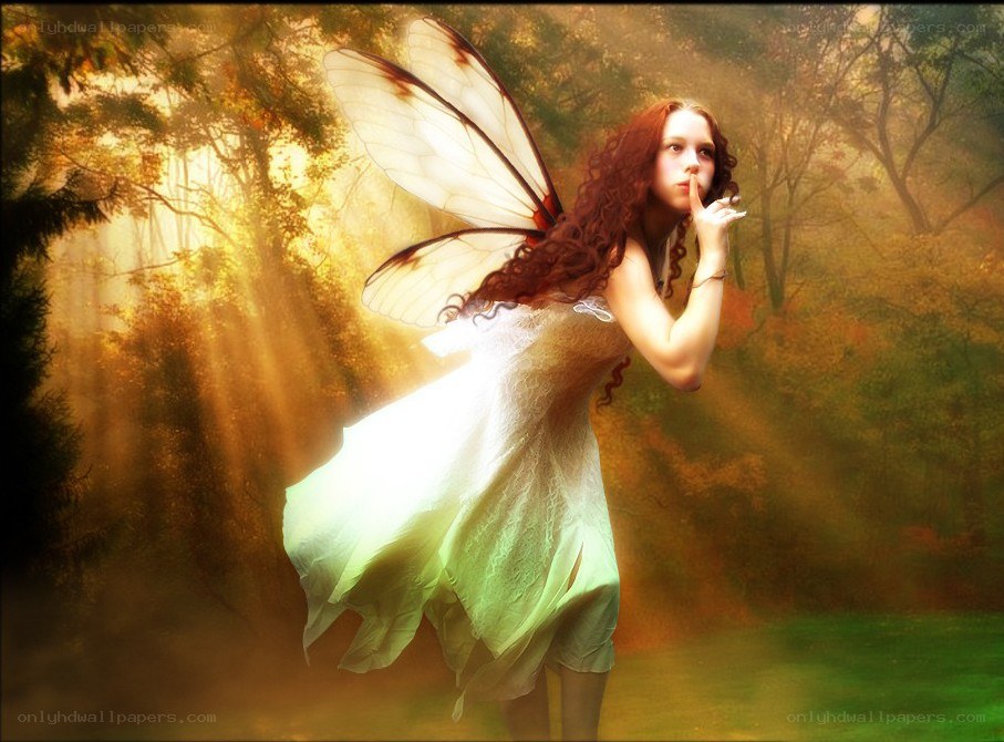 fairy in a sunlit forest