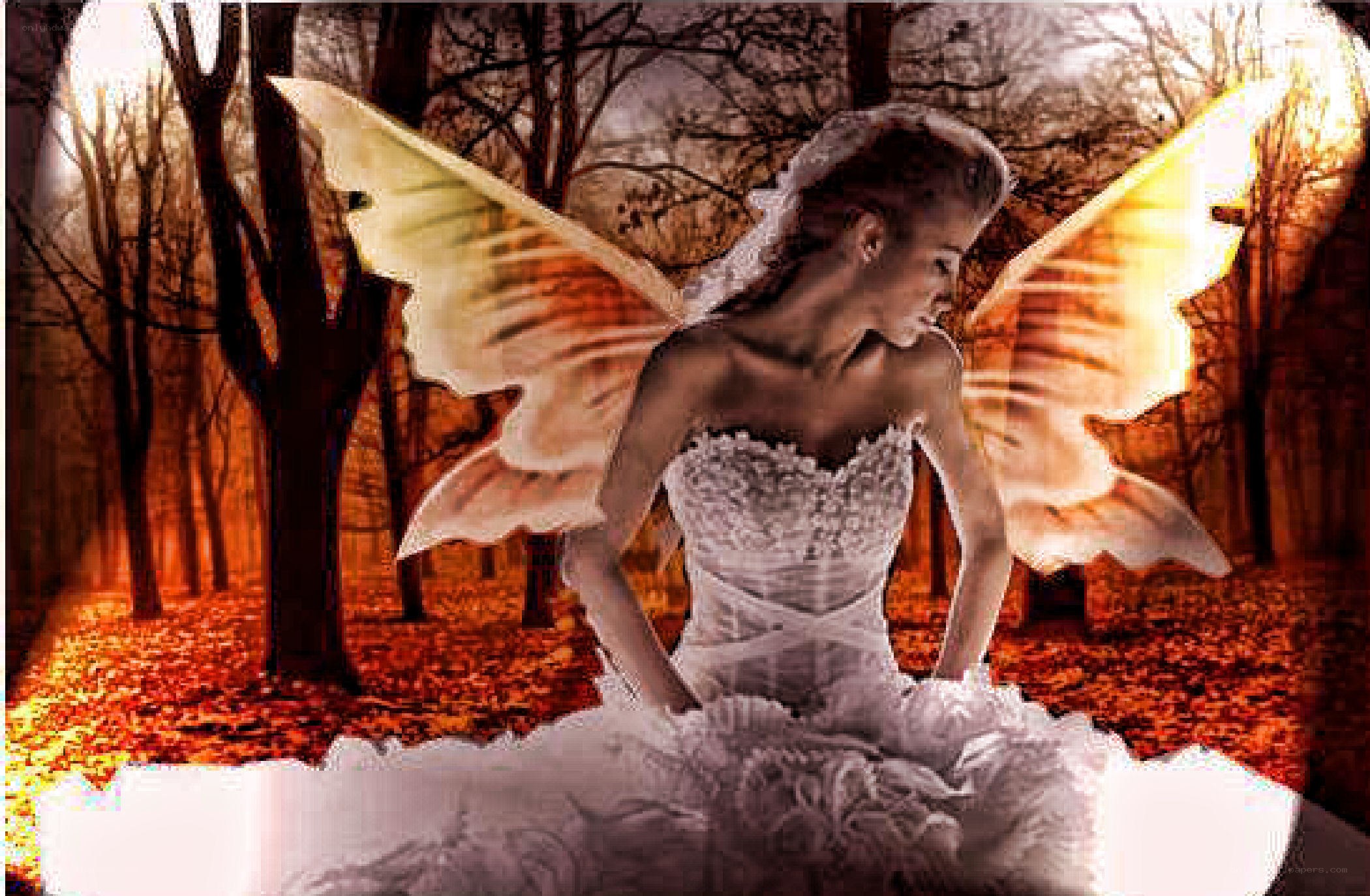 fairy in autumn forest