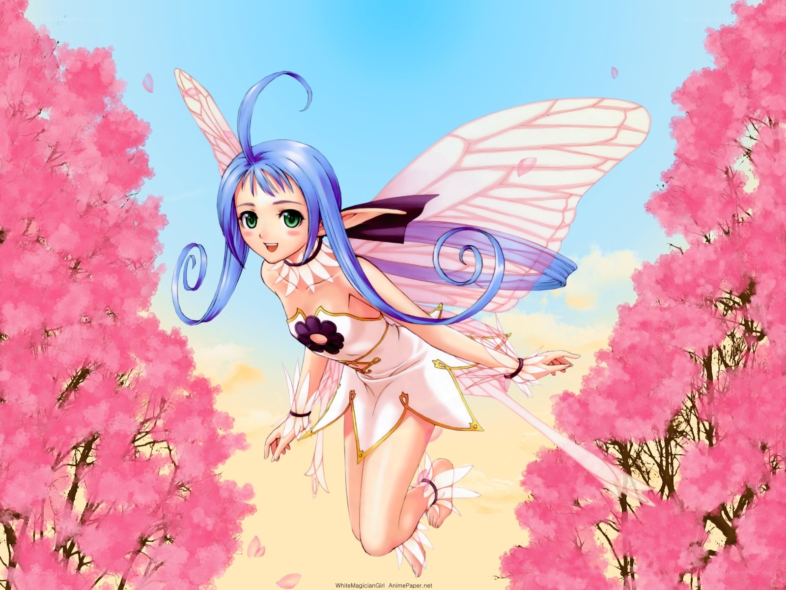 fairy in cherry blossom grove