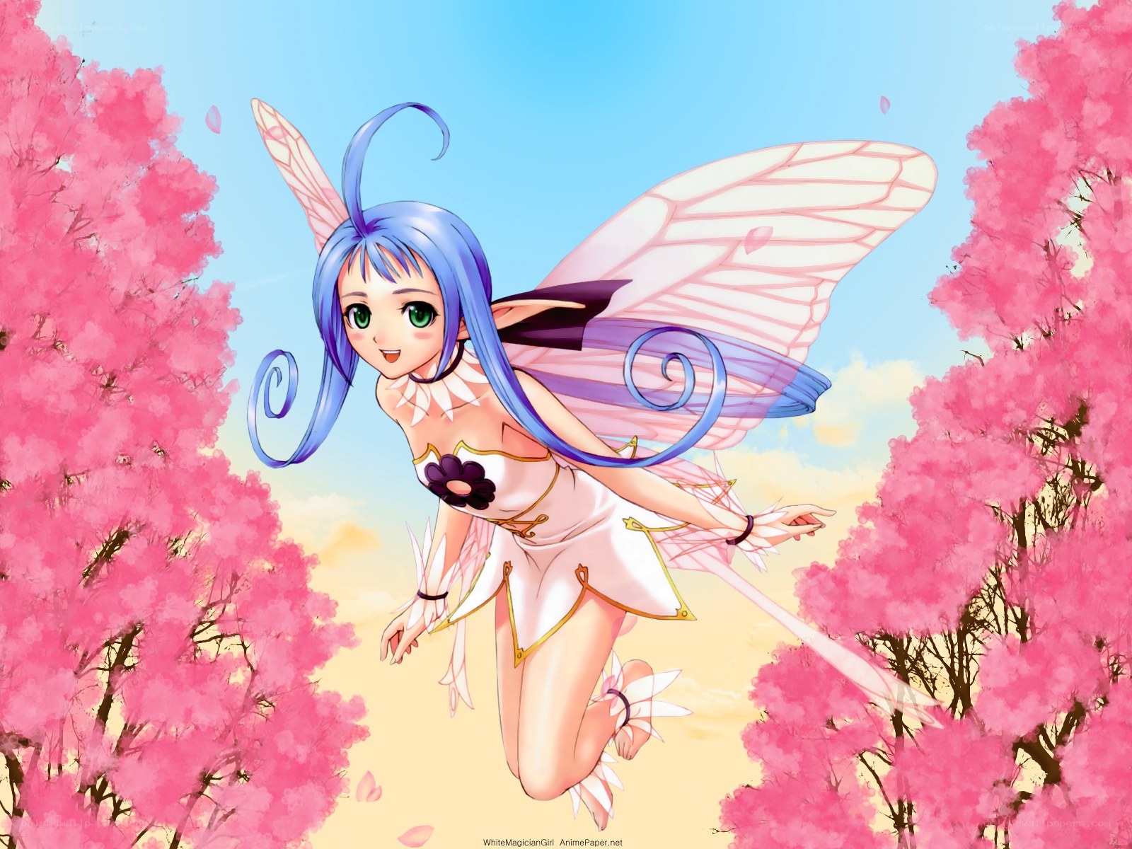 fairy in cherry blossom grove