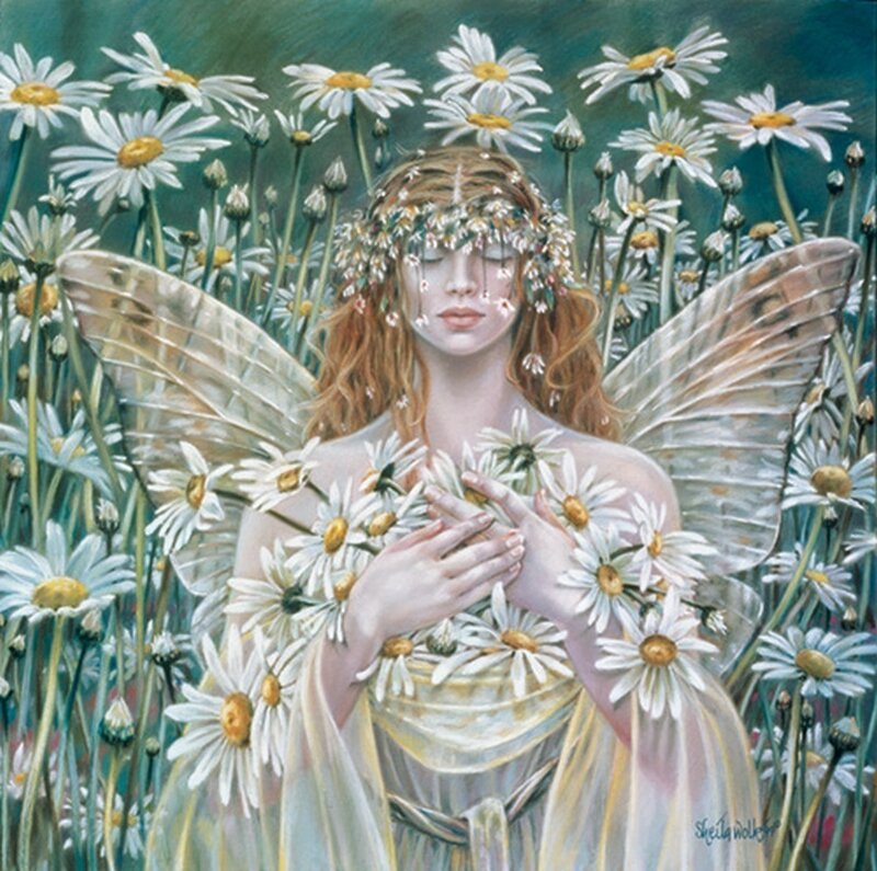 Fairy in Daisy Field