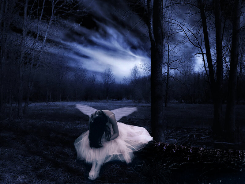 Fairy in Dark Forest — Blue