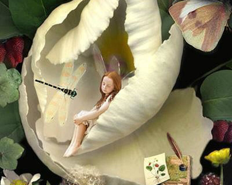 Fairy in Flower — White