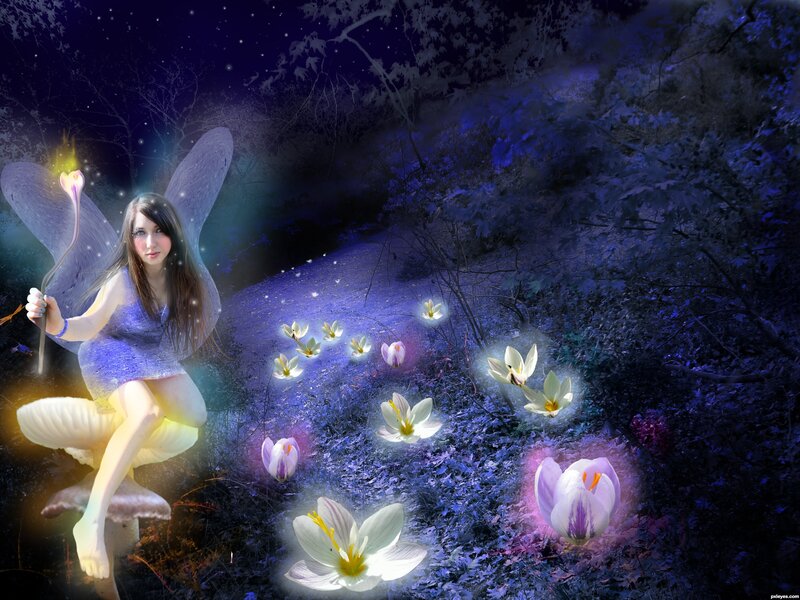 Fairy in Forest — Blue, Magical